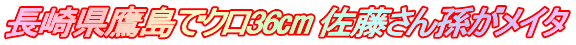 長崎県鷹島でクロ36㎝ 佐藤さん孫がメイタ